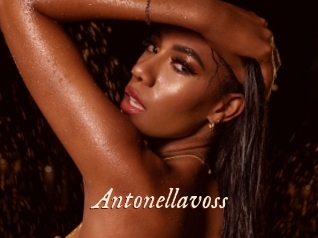 Antonellavoss