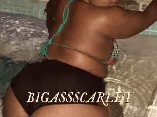 BIGASSSCARLET