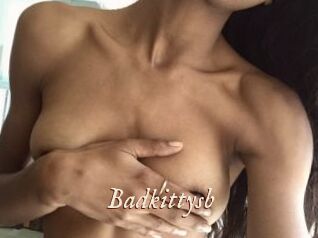 Badkittysb