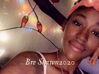 Bre_Shawn2020