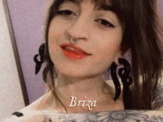 Briza