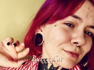 Buzzzz_Cat