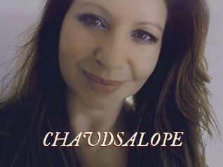 CHAUDSALOPE