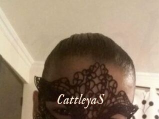 Cattleya_S