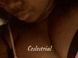 Ceslestrial