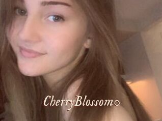 CherryBlossom0