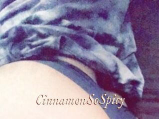 CinnamonSoSpicy