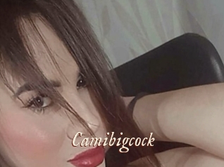Camibigcock