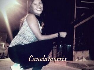 Canelamorris