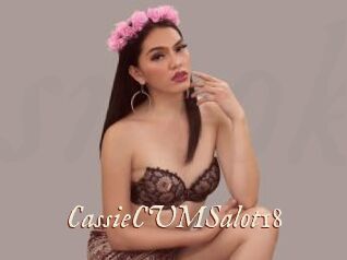 CassieCUMSalot18