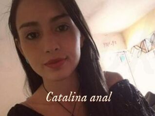 Catalina_anal