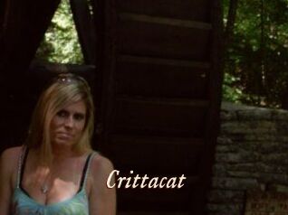 Crittacat