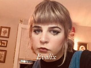 Evalix