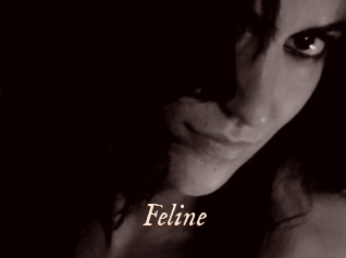 Feline