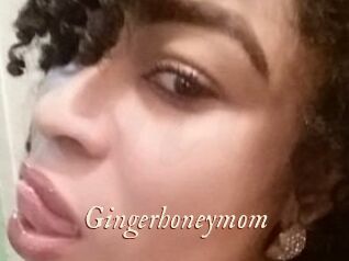 Gingerhoneymom