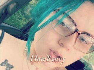 HareBunny