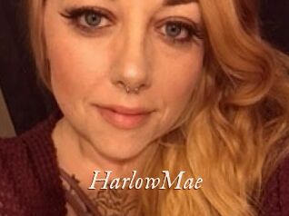 Harlow_Mae