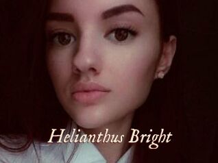 Helianthus_Bright
