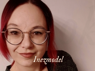 Inezmodel