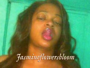 Jasmineflowersbloom