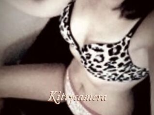 Kittycamera