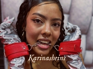 Karinasheins