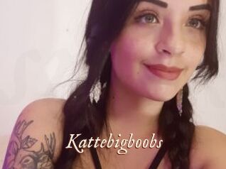 Kattebigboobs