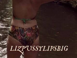 LIZPUSSYLIPSBIG
