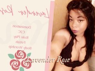 Lavender_Rose