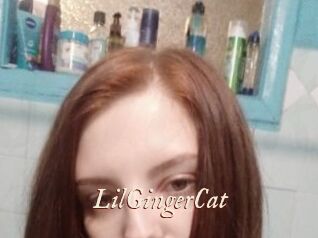 LilGingerCat
