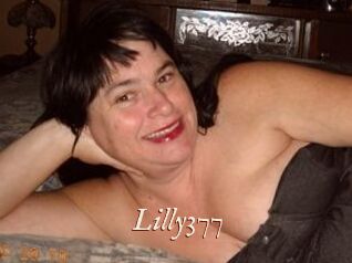 Lilly377