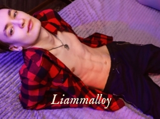 Liammalloy