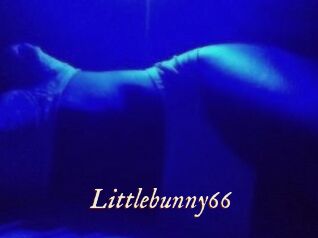 Littlebunny66