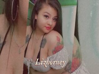 Lizhorney