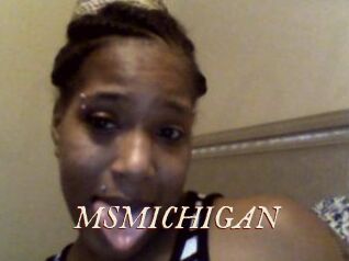 MSMICHIGAN