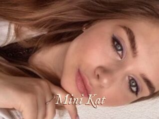 Mini_Kat