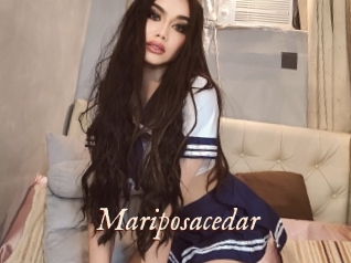 Mariposacedar