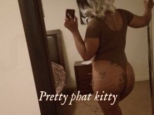 Pretty_phat_kitty