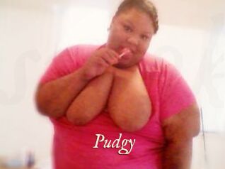 Pudgy