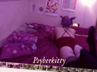 Psyberkitty