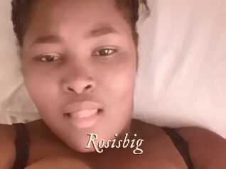 Rosisbig