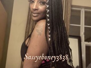Sassyeboney3838