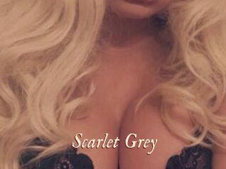 Scarlet_Grey