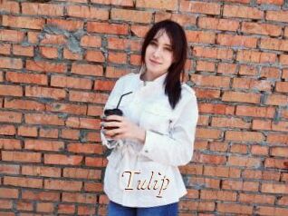 Tulip