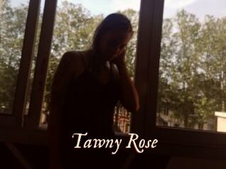 Tawny_Rose