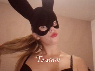 Tesscam