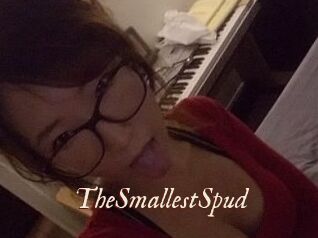 TheSmallestSpud