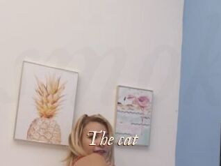 The_cat