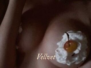 Vellvet