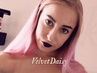 VelvetDaisy